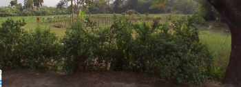  Agricultural Land for Sale in Sonarpur, Kolkata