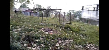  Residential Plot for Sale in Mirik, Darjeeling