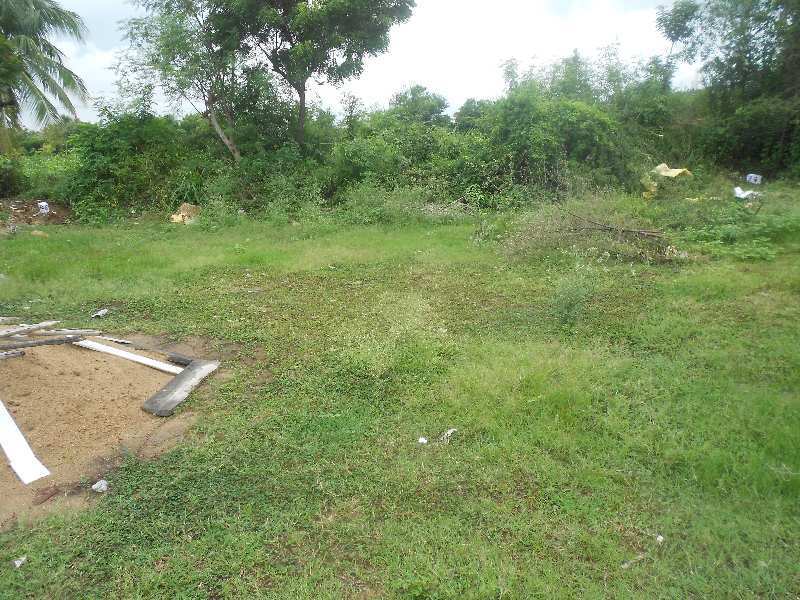  Residential Plot 2000 Sq.ft. for Sale in Elambalur, Perambalur