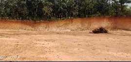  Agricultural Land for Sale in Kadaba, Mangalore