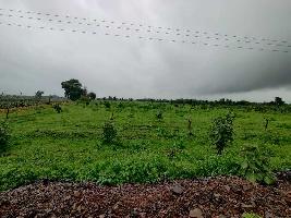  Agricultural Land for Sale in Umred Road, Nagpur