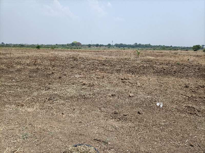  Agricultural Land 19 Acre for Sale in Basheerabad Rangareddy