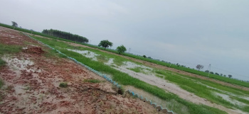  Residential Plot for Sale in Tappal, Aligarh