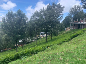  Residential Plot for Sale in Coonoor, Nilgiris