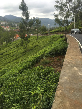  Residential Plot for Sale in Coonoor, Nilgiris