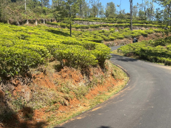  Residential Plot for Sale in Coonoor, Nilgiris