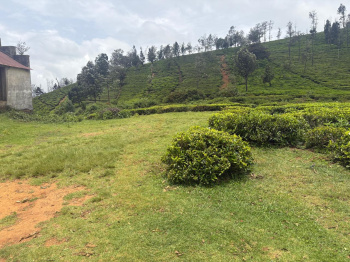  Residential Plot for Sale in Hubbathala, Nilgiris