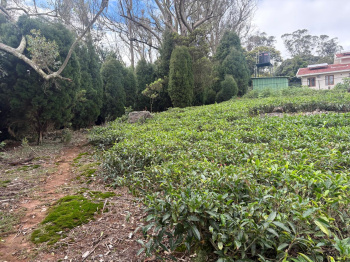  Residential Plot for Sale in Coonoor, Nilgiris
