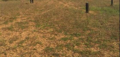  Commercial Land for Rent in Achampet Junction, Kakinada