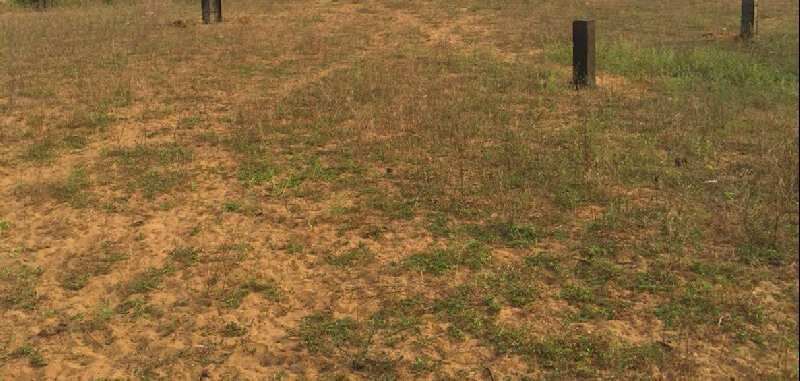  Commercial Land 3800 Sq. Yards for Rent in Peddapuram, East Godavari