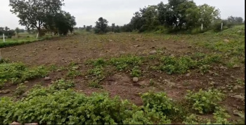  Agricultural Land for Sale in Kodangal, Vikarabad