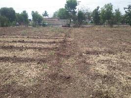 Agricultural Land for Rent in Dighi, Pune