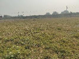  Agricultural Land for Sale in Goalpokhar, Uttar Dinajpur