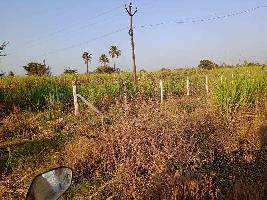  Agricultural Land for Sale in Tasgaon, Sangli