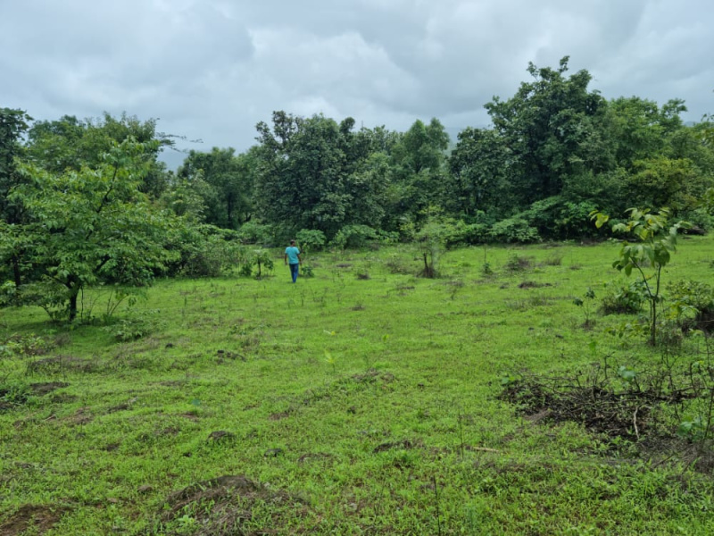  Agricultural Land 500 Acre for Sale in Mhasla, Raigad