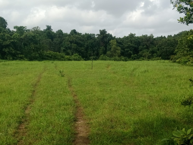  Agricultural Land 100 Acre for Sale in Mandangad, Ratnagiri