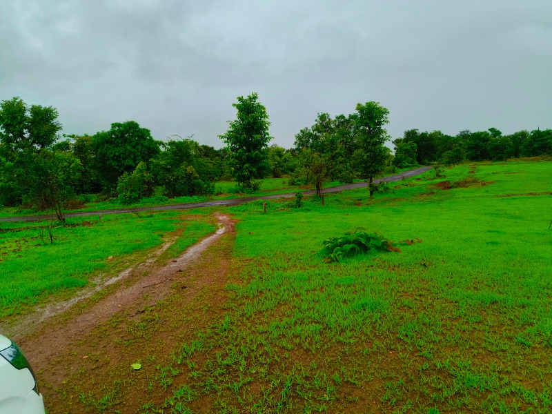  Agricultural Land 100 Acre for Sale in Mandangad, Ratnagiri