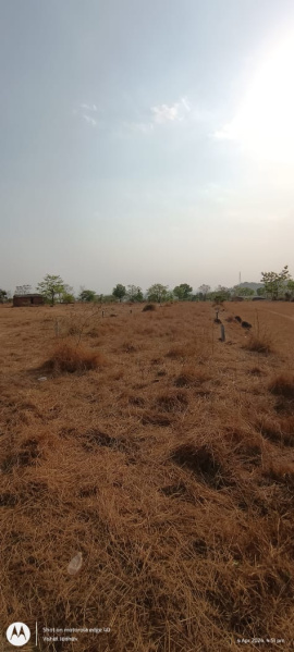  Agricultural Land 100 Acre for Sale in Mandangad, Ratnagiri