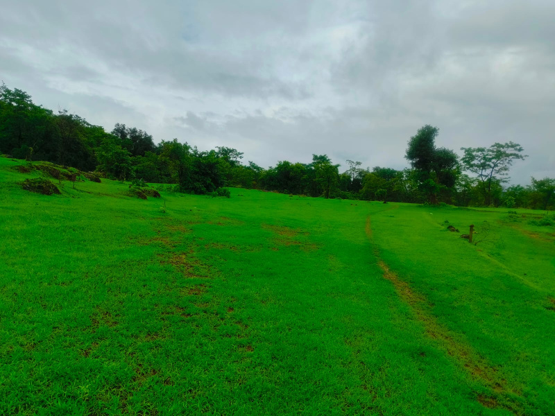  Industrial Land 100 Acre for Sale in Mandangad, Ratnagiri