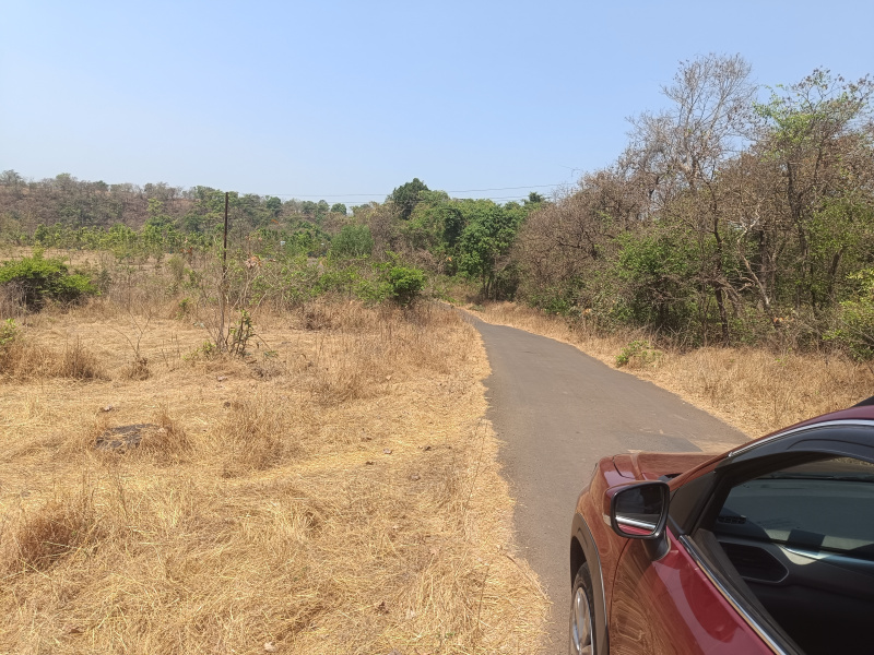  Agricultural Land 100 Acre for Sale in Mandangad, Ratnagiri