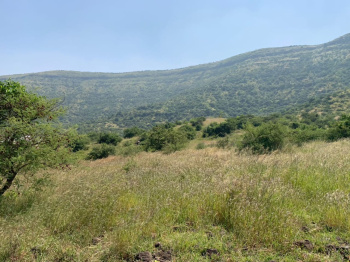  Agricultural Land for Sale in Mandangad, Ratnagiri