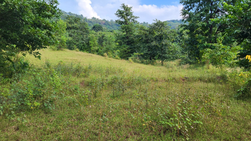  100 Acre Agricultural/Farm Land for Sale in Mahad, Raigad