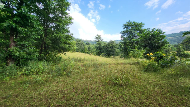  100 Acre Agricultural/Farm Land for Sale in Mahad, Raigad