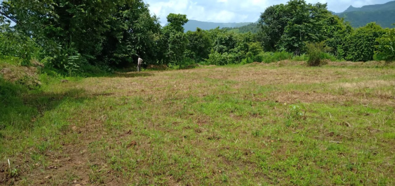  200 Acre Agricultural/Farm Land for Sale in Mangaon, Raigad