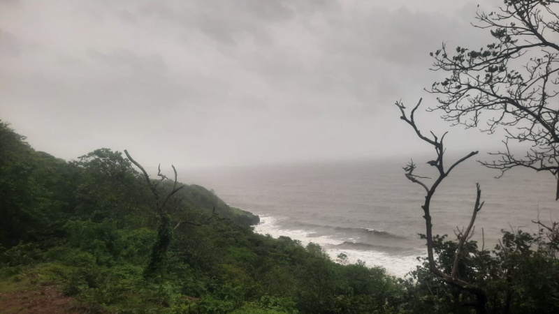  100 Ares Agricultural/Farm Land for Sale in Rajapur, Ratnagiri