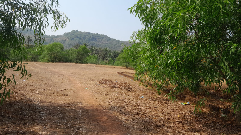 Vengurla, Sindhudurg photo 2
