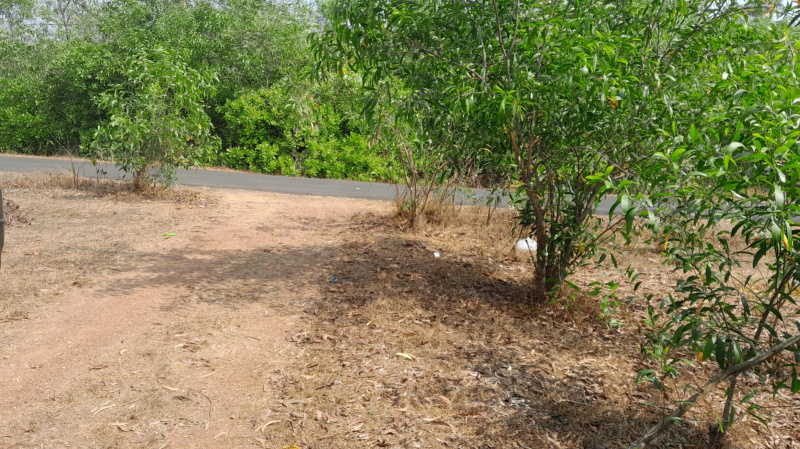 Vengurla, Sindhudurg photo 3