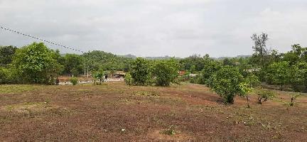  Agricultural Land for Sale in Kankavli, Sindhudurg