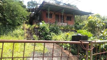  Agricultural Land for Sale in Mangaon, Raigad