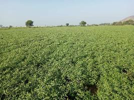 Agricultural Land for Sale in Shiwni, Indore