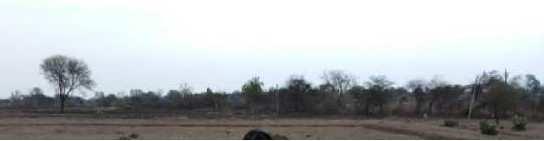  Agricultural Land for Sale in Kalamnuri, Hingoli