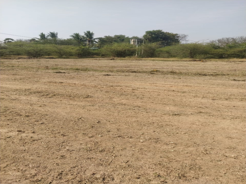  Residential Plot 1200 Sq.ft. for Sale in Sevvapet, Thiruvallur