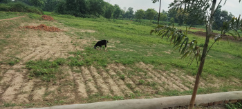  Residential Plot for Sale in Khadda, Kushinagar