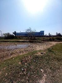  Commercial Land for Sale in Baghola, Palwal