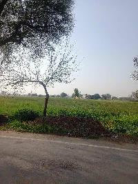  Industrial Land for Sale in Mandkola, Palwal