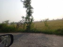  Agricultural Land for Sale in Palwal, Faridabad