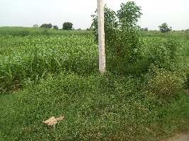  Agricultural Land for Sale in Hathin, Palwal