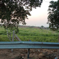  Commercial Land for Sale in Palwal, Faridabad
