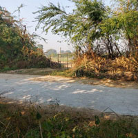  Agricultural Land for Sale in Shanti Nagar, Rewari