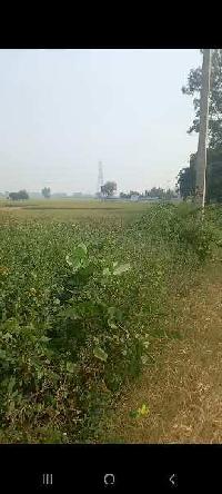  Agricultural Land for Sale in Aligarh Road, Palwal