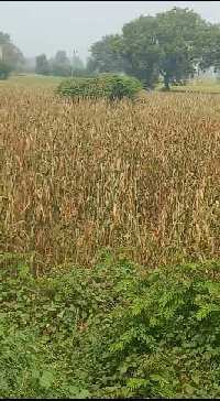  Commercial Land for Sale in Aligarh Road, Palwal