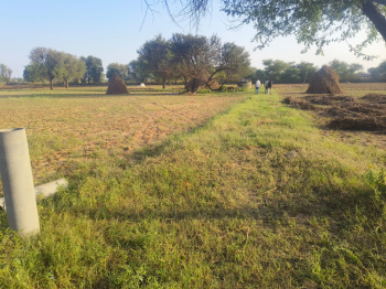  Agricultural Land for Sale in Bada Bangarda, Indore