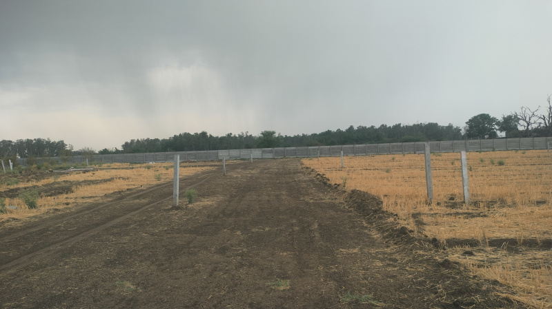  Agricultural Land 6000 Sq.ft. for Sale in Super Corridor, Indore