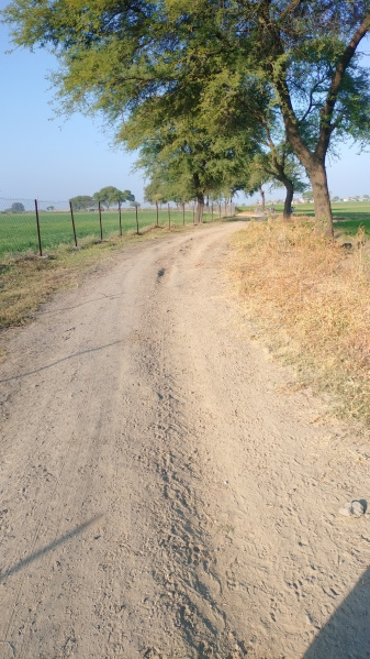  Agricultural Land 82500 Sq.ft. for Sale in Ujjain Road, Ujjain Road, Indore