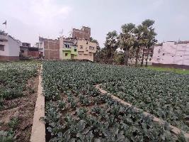  Residential Plot for Sale in Pahari, Patna