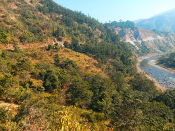  Agricultural Land for Sale in Marchula, Almora